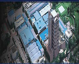 株式會(huì)社島精機(jī)制作所（日本島精）