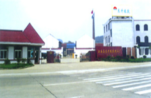 江蘇省濱海縣東升橡膠制品廠